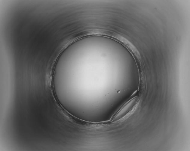 X0000101440993200807211208