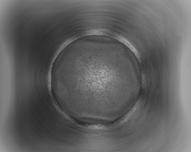 X0000101440994200807211208