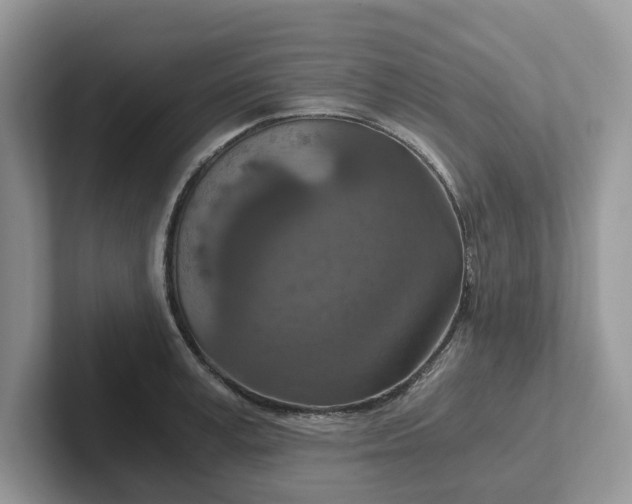 X0000101440995200807211208