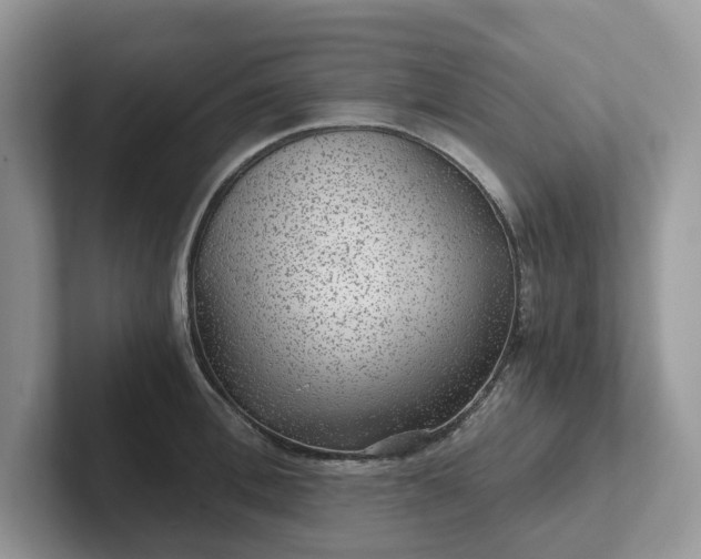 X0000101440996200807211208