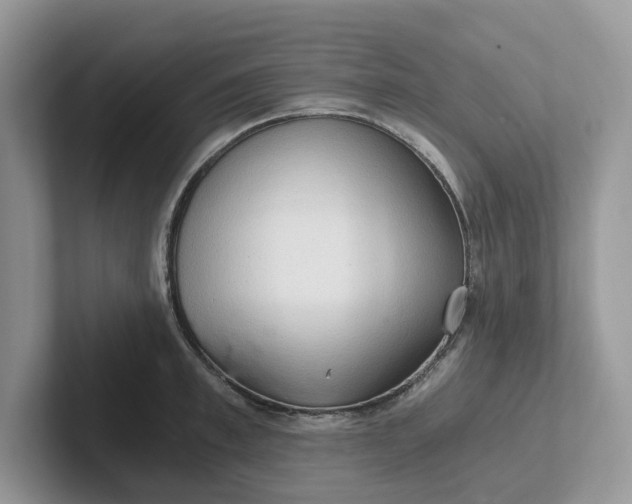 X0000101440997200807211208