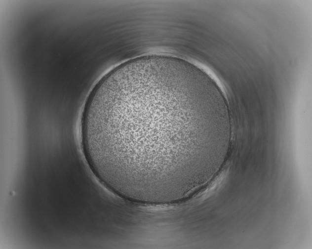 X0000101440999200807211208