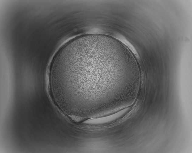 X0000101441000200807211208