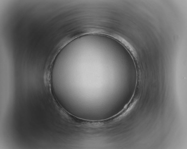 X0000101441001200807211208