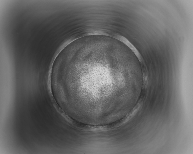 X0000101441002200807211208