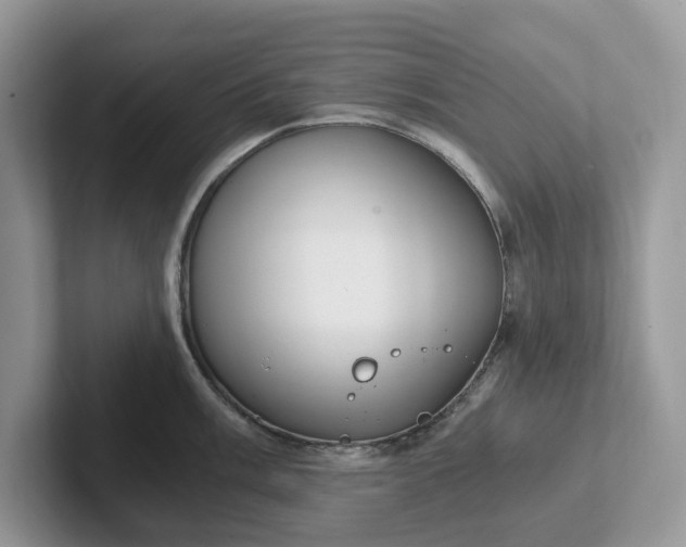 X0000101441003200807211208