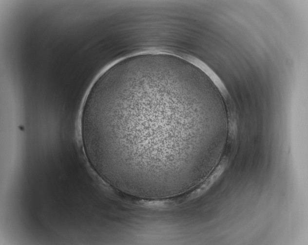 X0000101441004200807211208