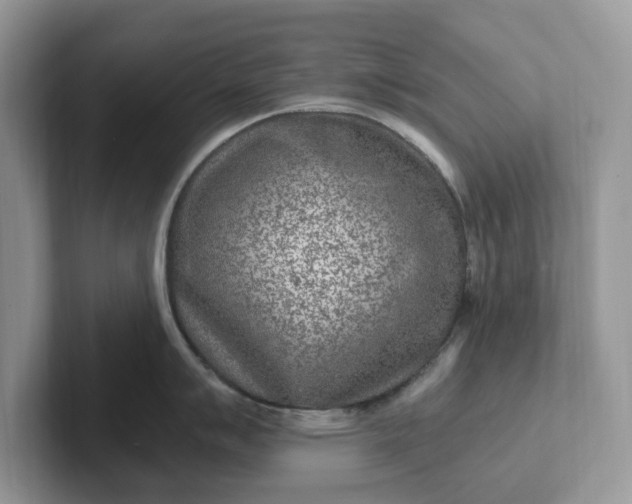 X0000101441007200807211208