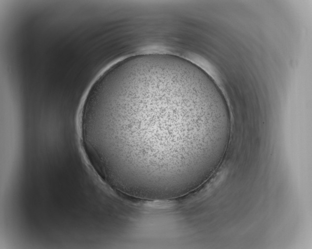 X0000101441008200807211208