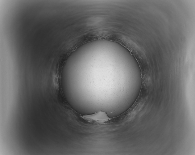 X0000101441010200807211207