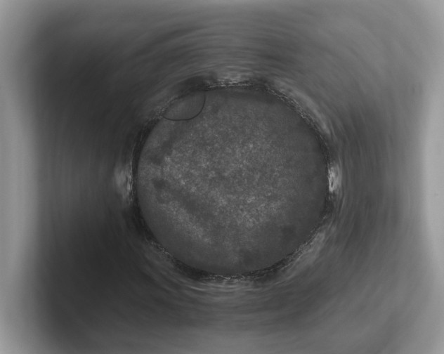 X0000101441011200807211207