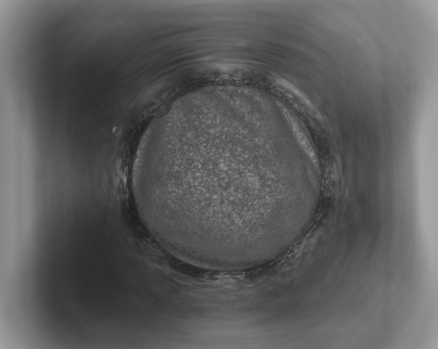 X0000101441013200807211207