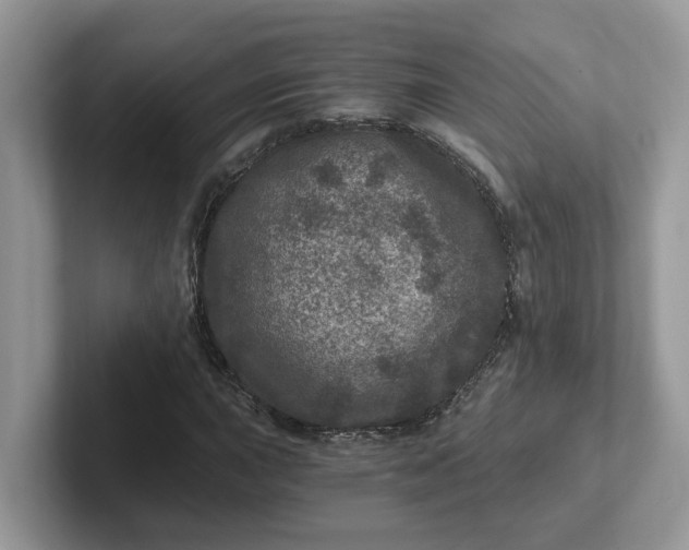 X0000101441015200807211207