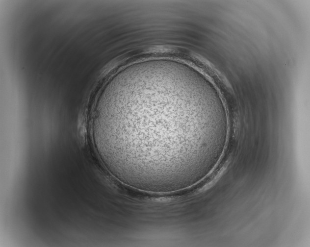 X0000101441017200807211207