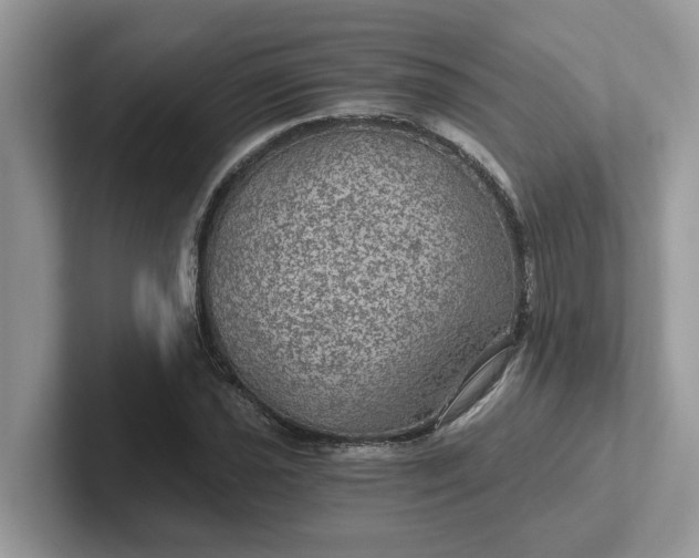 X0000101441021200807211207