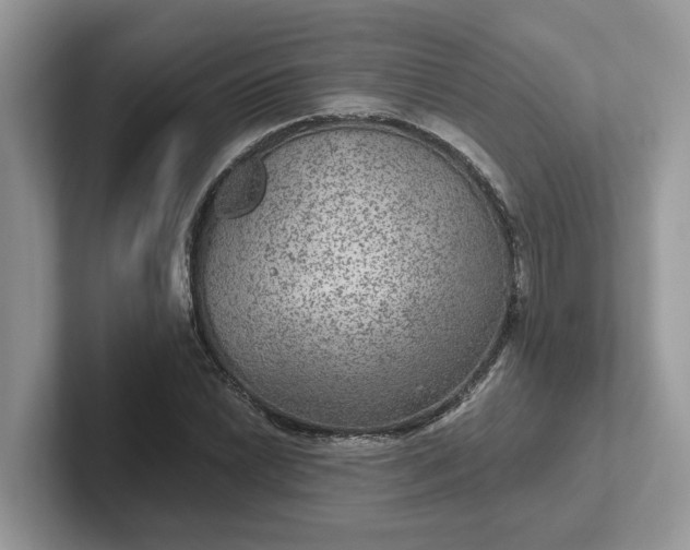 X0000101441022200807211207