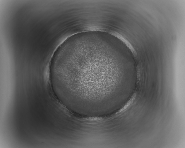 X0000101441023200807211207