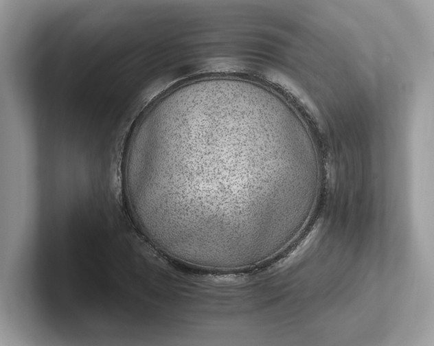 X0000101441025200807211207