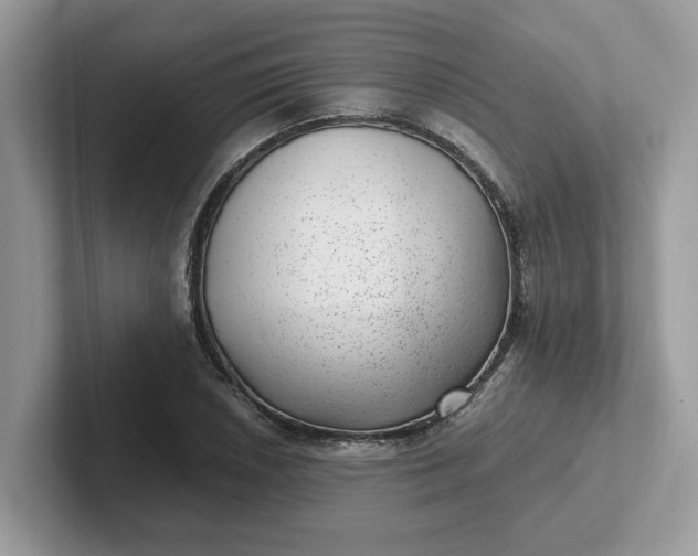 X0000101441026200807211207