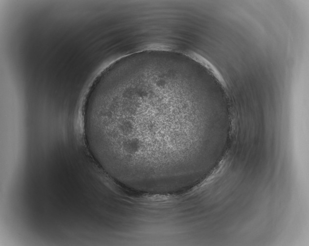 X0000101441027200807211207