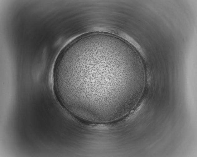 X0000101441028200807211207