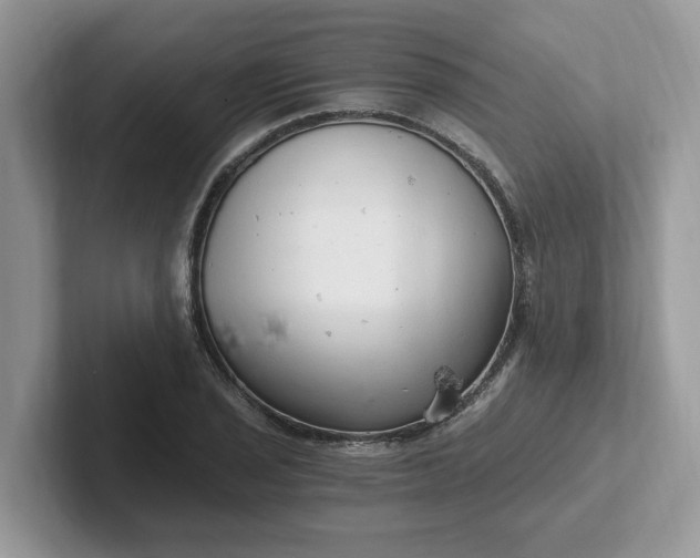 X0000101441029200807211207