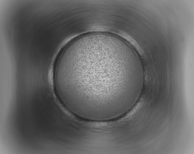 X0000101441030200807211207