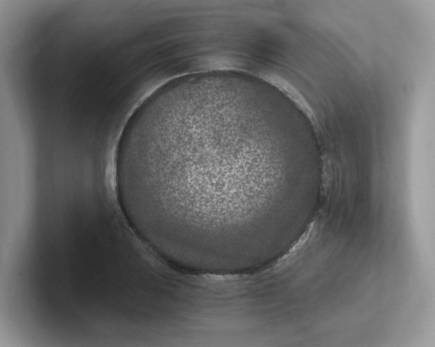 X0000101441031200807211207