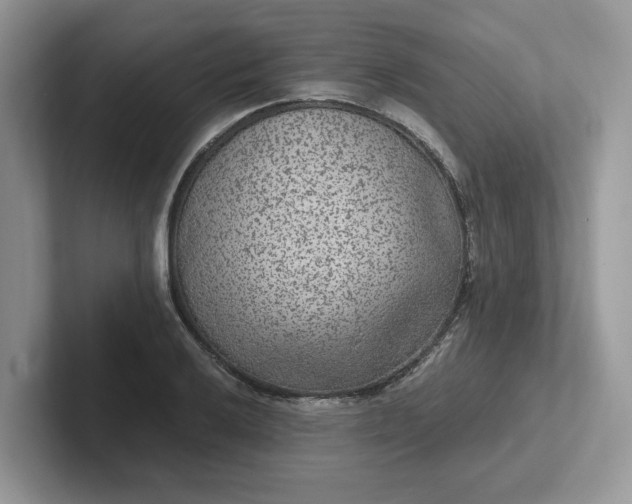 X0000101441032200807211207