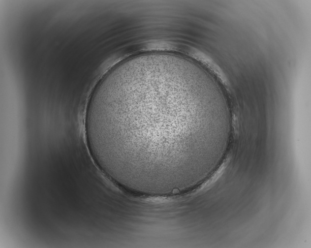 X0000101441033200807211207