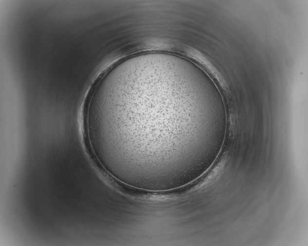 X0000101441034200807211207