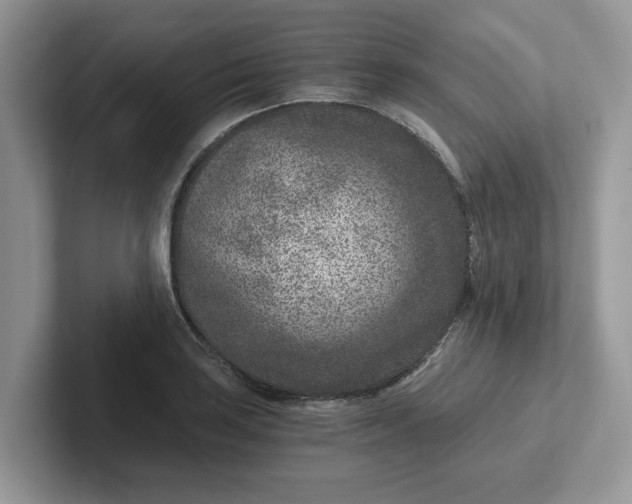 X0000101441035200807211207