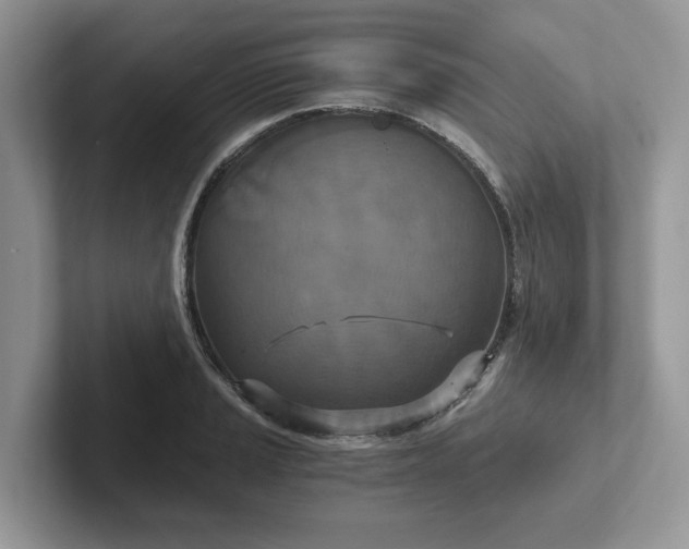 X0000101441037200807211207