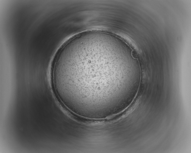 X0000101441038200807211207