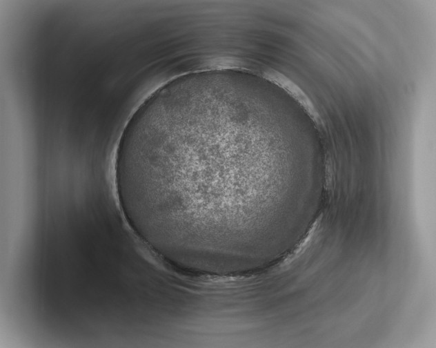 X0000101441039200807211207