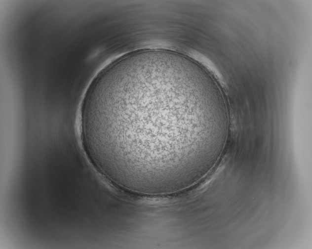 X0000101441040200807211207