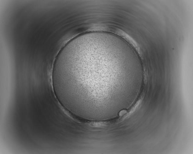 X0000101441041200807211207