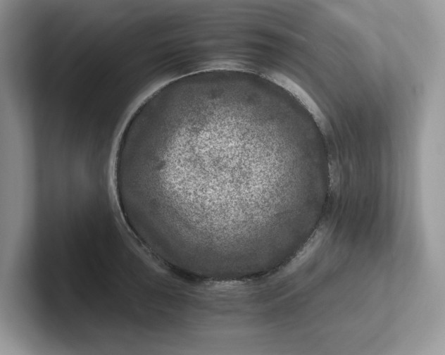 X0000101441043200807211207