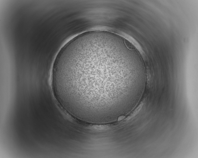 X0000101441044200807211207