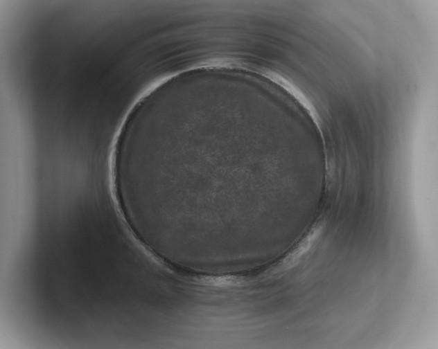 X0000101441045200807211207