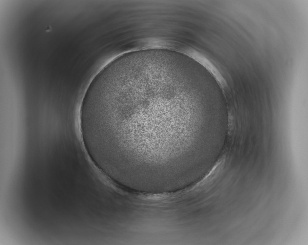 X0000101441047200807211208