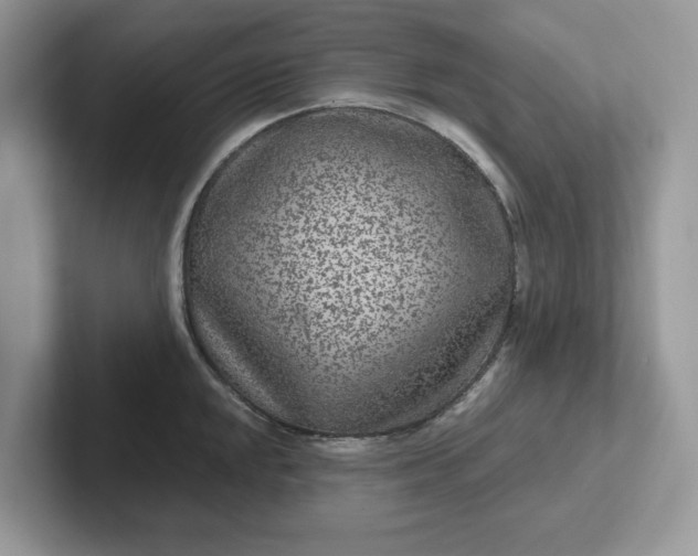 X0000101441048200807211208