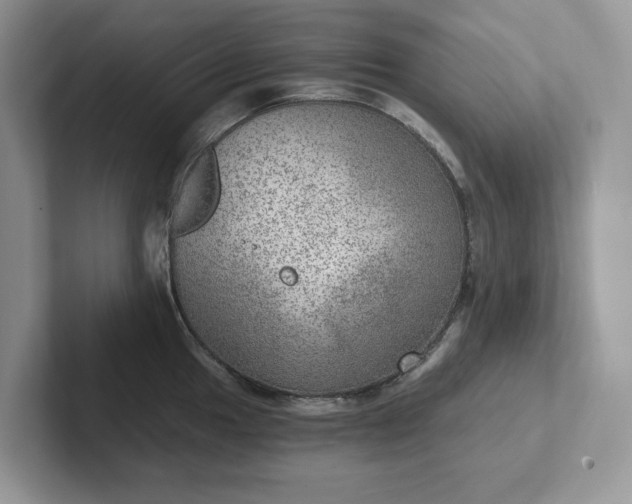 X0000101441049200807211208