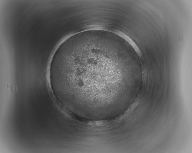 X0000101441051200807211208