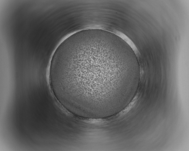 X0000101441052200807211208