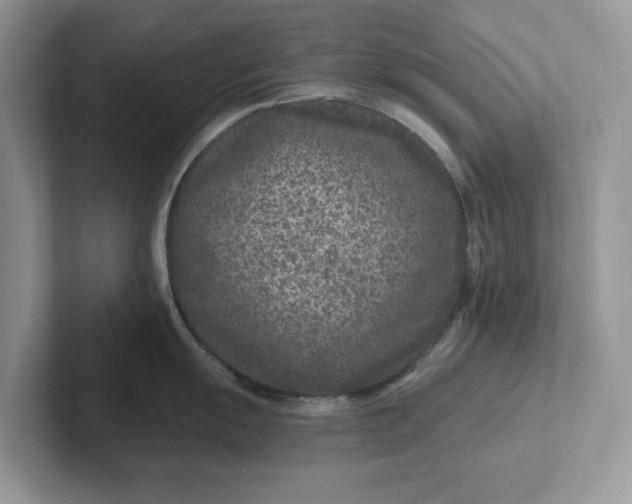 X0000101441055200807211208