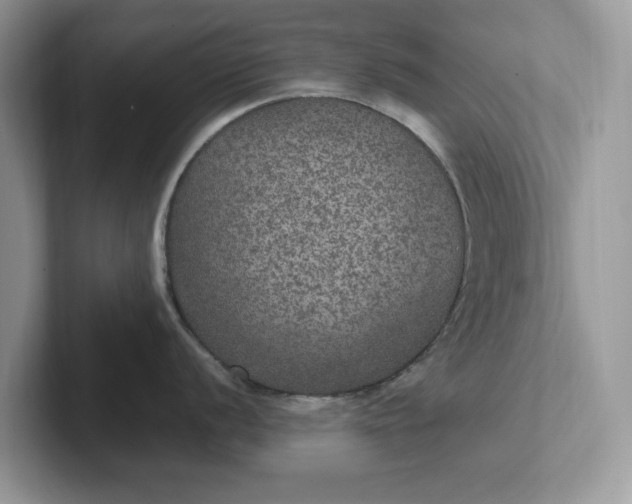 X0000101441056200807211208