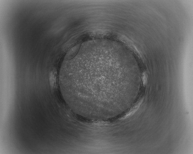 X0000101441059200807211207