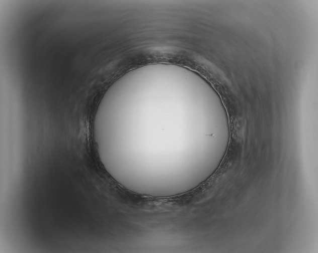 X0000101441061200807211207