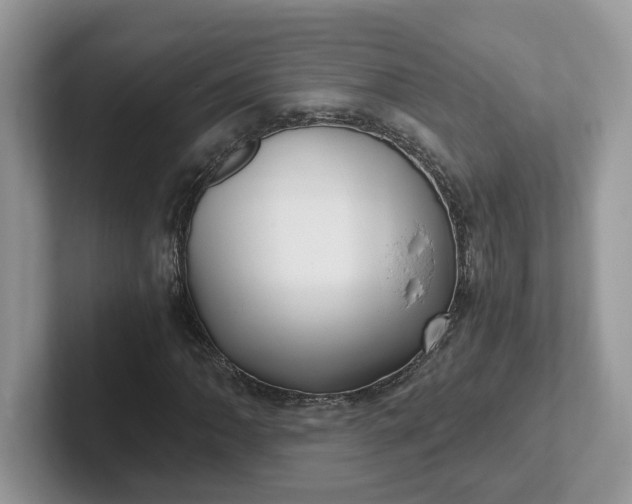 X0000101441062200807211207